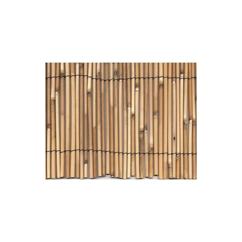 CERRAMIENTO BAMBU PELADO 1,5X5M. 270002