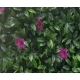 JARDIN VERTICAL MALVA 50X50...