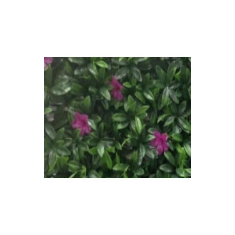 JARDIN VERTICAL MALVA 50X50 CM. 240023