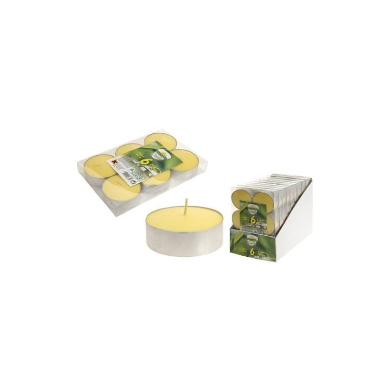 VELAS DE CITRONELA TEALIGHT 45GR. 8 UD 834