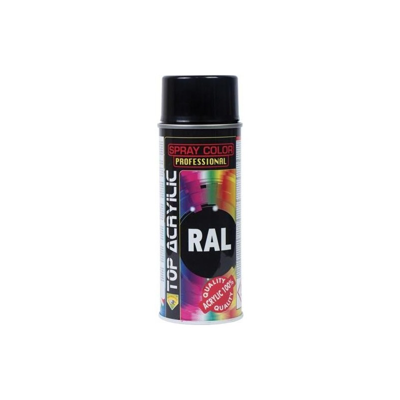 PINTURA SPRAY RAL 9005 NGO.BRILLO 400 ML.90010/001