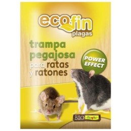 TRAMPA PEGAJOSA PARA RATAS...