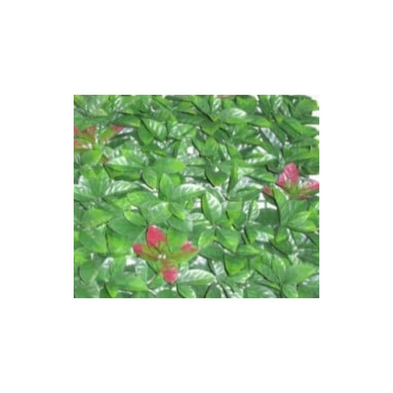 JARDIN VERTICAL CAMELIA 50X50 CM. 240021