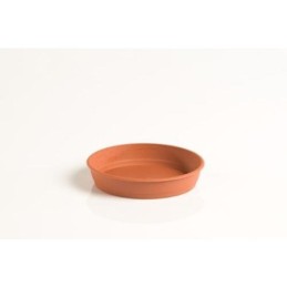 PLATO GARDENIA 10CM PARA...