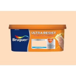 PINTURA PLAST.INT. BRUGUER...