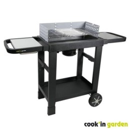 BARBACOA CARBON...