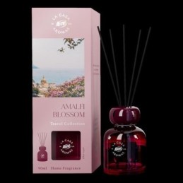 AMBIENTADOR ASEVI MIKADO...