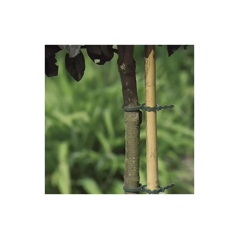 BRIDA DE FIJACION DE PLASTICO (40 UNIDADES) 17 CM.