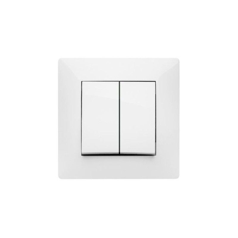 DOBLE INTERRUPTOR 10 AH. 250  V.  BLANCO 9303