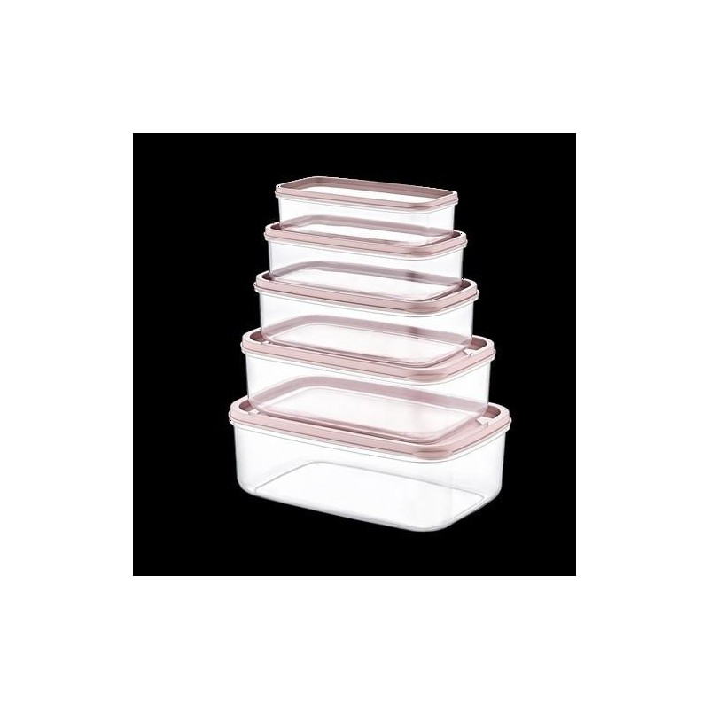 SET 5 TUPPER RECTANG ROSA 330-530-850-1300-2100ML